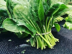 पालक में कौन सा Vitamin होता है सबसे ज्यादा?