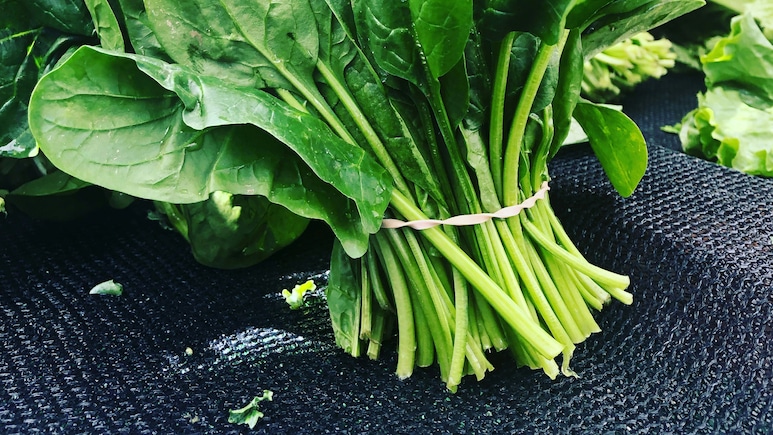 पालक में कौन सा Vitamin होता है सबसे ज्यादा?