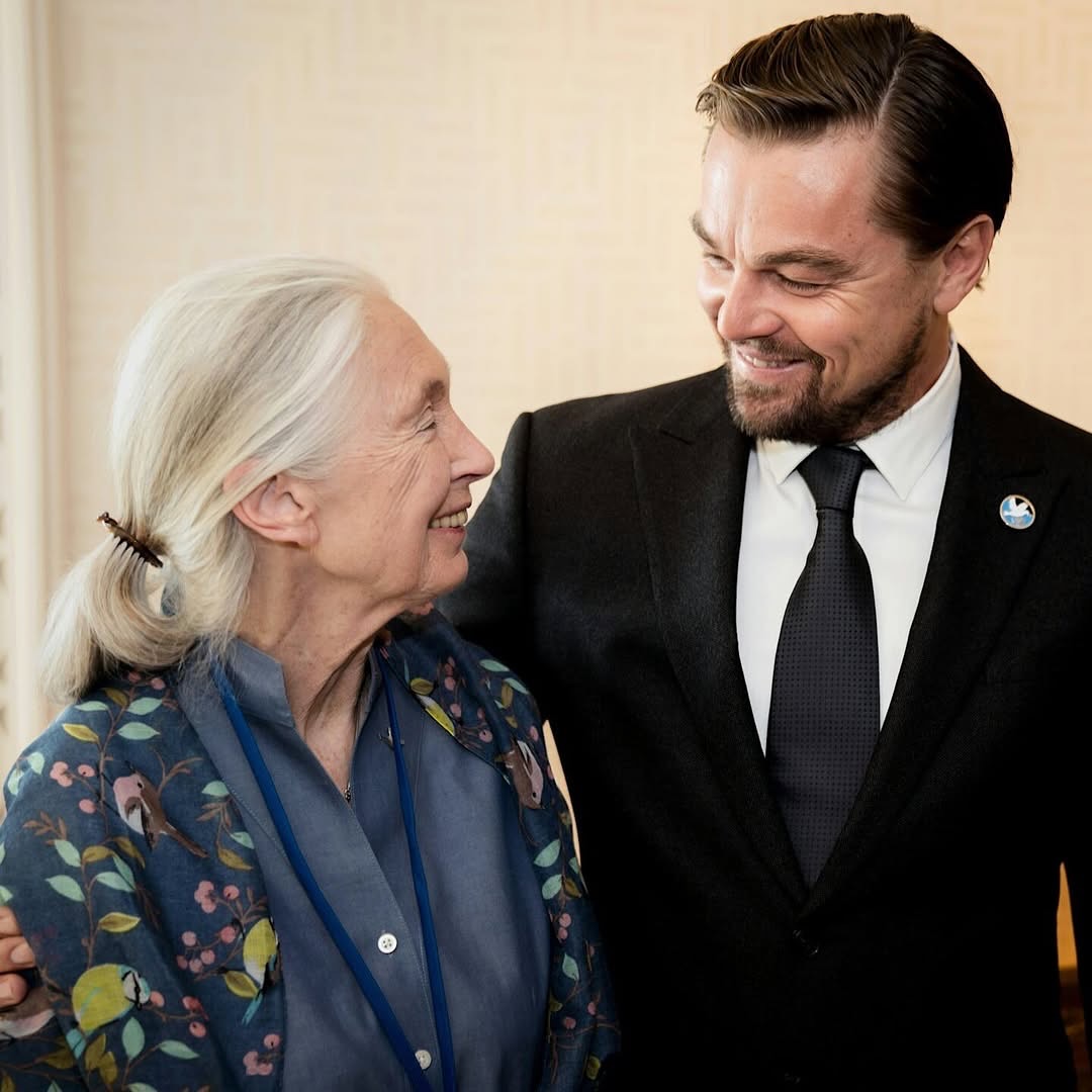Leonardo DiCaprio Pays Heartfelt Tribute To Jane Goodall: "We Have Lost A True Hero"