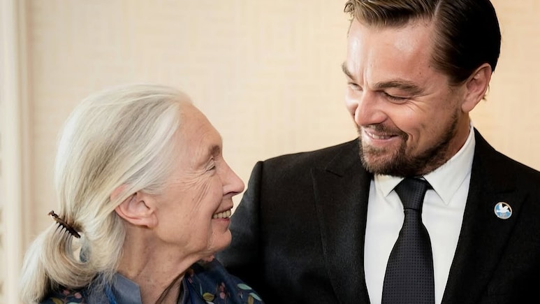 Leonardo DiCaprio Pays Heartfelt Tribute To Jane Goodall: "We Have Lost A True Hero"
