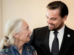 Leonardo DiCaprio Pays Heartfelt Tribute To Jane Goodall: "We Have Lost A True Hero" Leonardo DiCaprio Pays Heartfelt Tribute To Jane Goodall: "We Have Lost A True Hero"