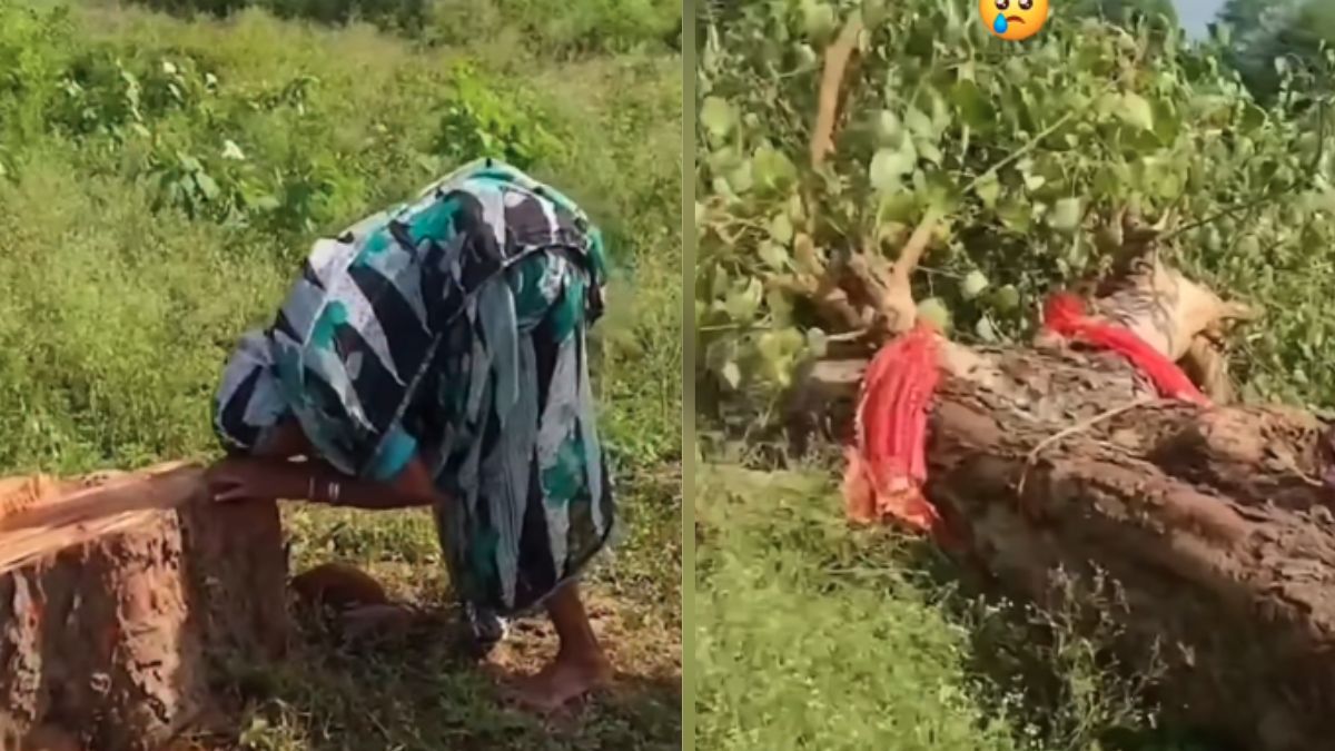 85-Year-Old Woman Breaks Down As Tree She Cared For 20 Years Is Cut 