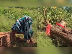 85-Year-Old Woman Breaks Down As Tree She Cared For 20 Years Is Cut