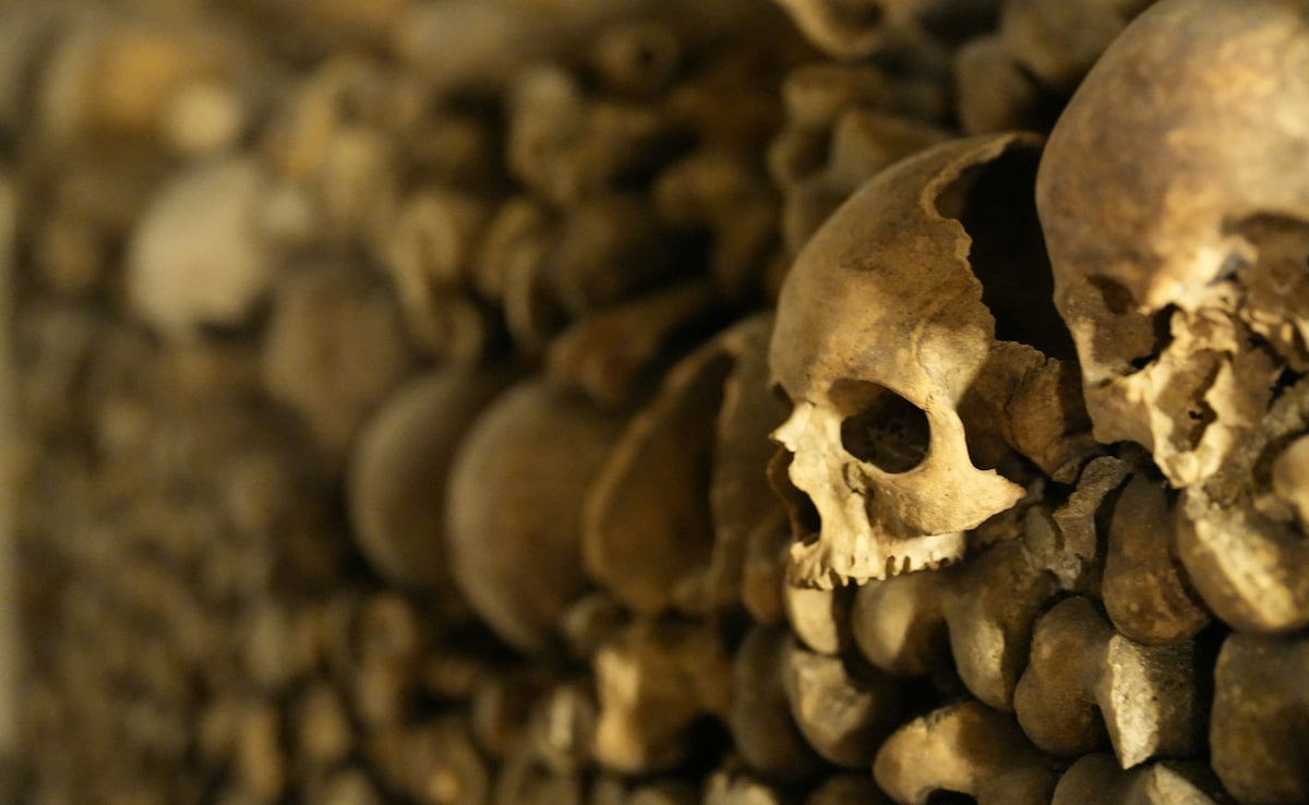 Latest and Breaking News on NDTV Latest and Breaking News on NDTV