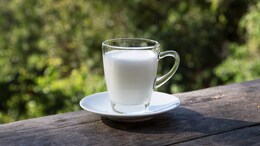 National Milk Day 2025: Why Drinking Warm Milk At Night Could Be Your Best Bedtime Ritual