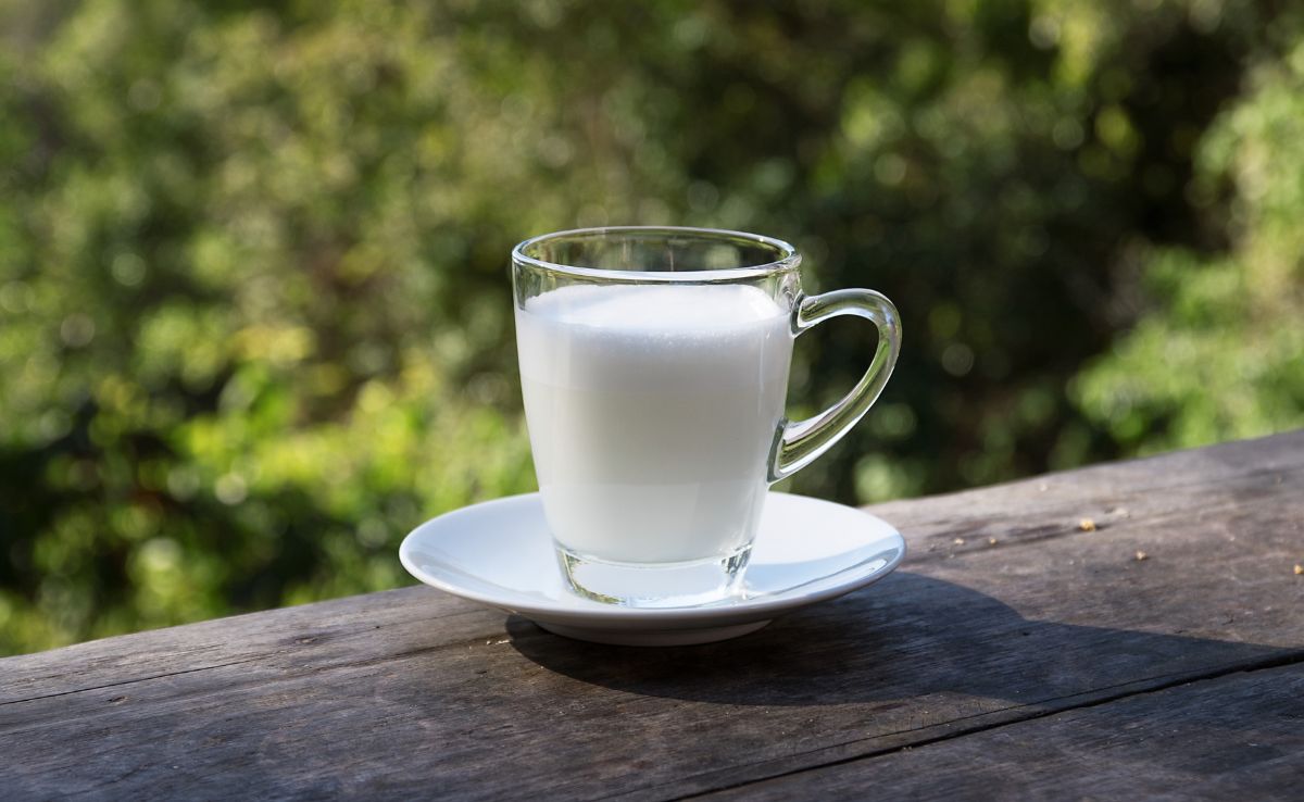 National Milk Day 2025: Benefits Of Drinking Warm Milk At Night