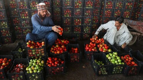 पाकिस्‍तान में 600 रुपये किलो हुआ टमाटर, फ्री में मिलने वाला धनिया भी अब 50 रुपये का...