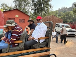 बिना किसी को बताए रणथंभौर टाइगर रिजर्व घूमते रहे वन मंत्री, वन विभाग तक को नहीं लगी भनक बिना किसी को बताए रणथंभौर टाइगर रिजर्व घूमते रहे वन मंत्री, वन विभाग तक को नहीं लगी भनक