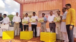 पर्यटकों के लिए खुशखबरी! सरिस्का में 3 महीने बाद फिर से खुली जंगल सफारी, ऑनलाइन बुकिंग सुविधा चालू