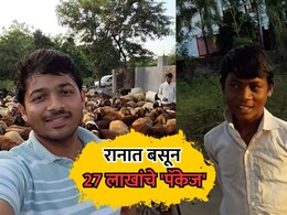 VIDEO: शहरापेक्षा गाव भारी! रानात बसून 27 लाखांची कमाई; समजून घ्या आकडेवारी VIDEO: शहरापेक्षा गाव भारी! रानात बसून 27 लाखांची कमाई; समजून घ्या आकडेवारी