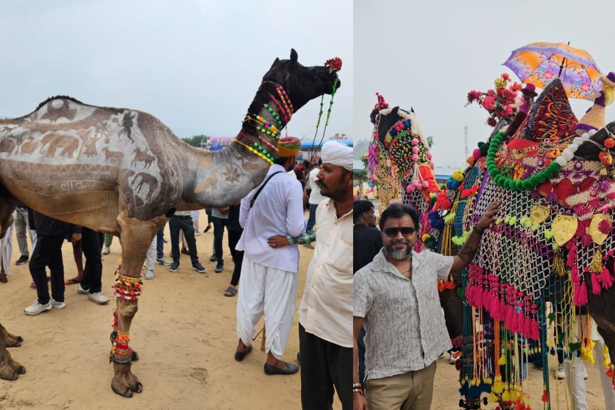 Pushkar Mela 2025: 'नागराज' के शरीर पर राजस्थानी संस्कृति की झलक, 'बादल' के चारपाई वाले डांस ने किया हैरान; पुष्कर मेले में दिखे अनोखे ऊंट