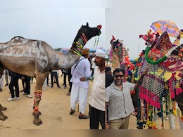 Pushkar Mela 2025: 'नागराज' के शरीर पर राजस्थानी संस्कृति की झलक, 'बादल' के चारपाई वाले डांस ने किया हैरान; पुष्कर मेले में दिखे अनोखे ऊंट Pushkar Mela 2025: 'नागराज' के शरीर पर राजस्थानी संस्कृति की झलक, 'बादल' के चारपाई वाले डांस ने किया हैरान; पुष्कर मेले में दिखे अनोखे ऊंट