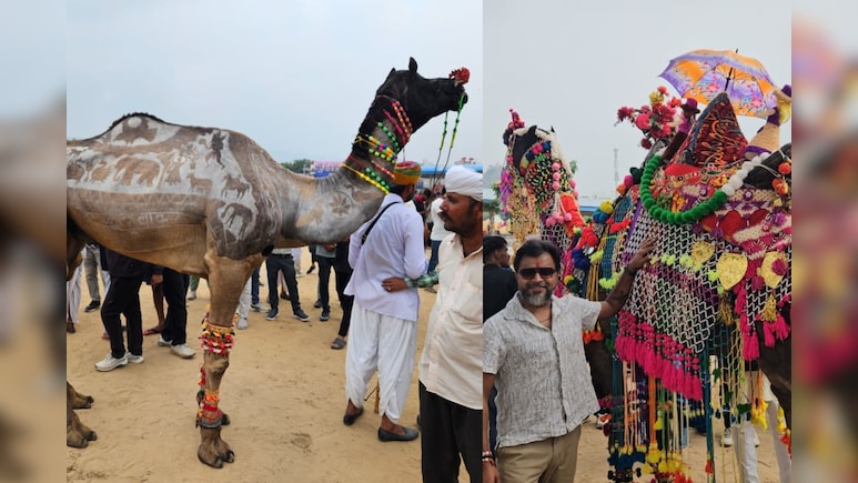 Pushkar Mela 2025: 'नागराज' के शरीर पर राजस्थानी संस्कृति की झलक, 'बादल' के चारपाई वाले डांस ने किया हैरान; पुष्कर मेले में दिखे अनोखे ऊंट Pushkar Mela 2025: 'नागराज' के शरीर पर राजस्थानी संस्कृति की झलक, 'बादल' के चारपाई वाले डांस ने किया हैरान; पुष्कर मेले में दिखे अनोखे ऊंट