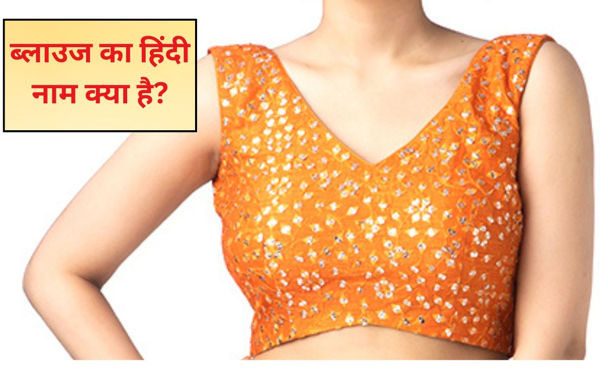ब्लाउज को ह‍िंदी में क्‍या कहते हैं, 99% लड़क‍ियां भी नहीं जानती हैं ये वाला नाम, बता द‍िया तो आप हैं वाकई इंटेल‍िजेंट