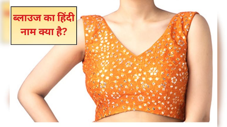 ब्लाउज को ह‍िंदी में क्‍या कहते हैं, 99% लड़क‍ियां भी नहीं जानती हैं ये वाला नाम, बता द‍िया तो आप हैं वाकई इंटेल‍िजेंट