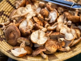 Fungi-Based Tech? Scientists Use Shiitake Mushrooms To Create Functional Computer Memory Fungi-Based Tech? Scientists Use Shiitake Mushrooms To Create Functional Computer Memory