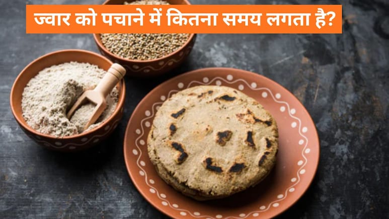 कप्यूटर पर रोज करते हैं 8 घंटे काम, हेल्दी रहने के लिए खाते हैं ज्वार, जान लें इसे पचाने में कितना समय लेगा शरीर कप्यूटर पर रोज करते हैं 8 घंटे काम, हेल्दी रहने के लिए खाते हैं ज्वार, जान लें इसे पचाने में कितना समय लेगा शरीर