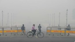 AAP Trying To "Defame Diwali": Delhi Minister Amid Toxic Politics Over Pollution