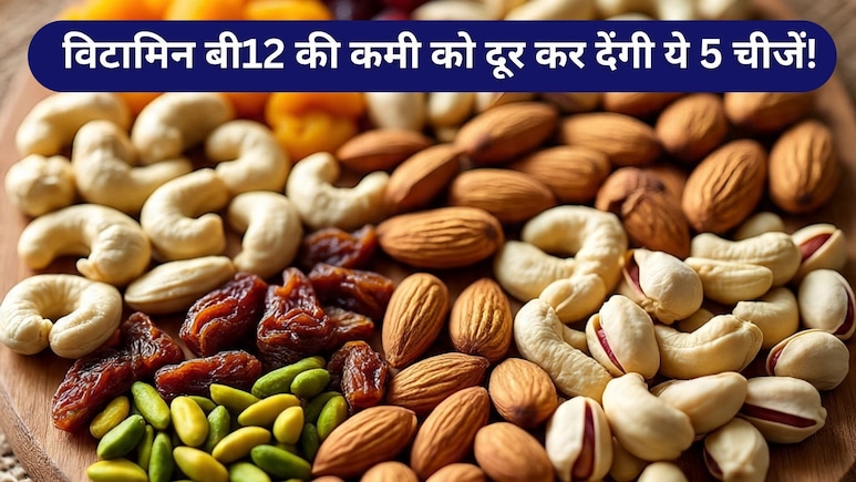 बिजली की रफ्तार से बढ़ेगा विटामिन बी12, बस इन चीजों को करें डाइट में शामिल बिजली की रफ्तार से बढ़ेगा विटामिन बी12, बस इन चीजों को करें डाइट में शामिल