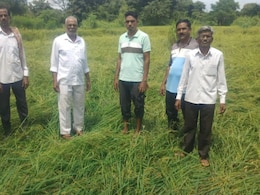 Kalyan News: कल्याणच्या शेतकऱ्यांची दिवाळी गोड होणार! 3,667 जणांना मिळणार दिवाळीपूर्वी भरपाई Kalyan News: कल्याणच्या शेतकऱ्यांची दिवाळी गोड होणार! 3,667 जणांना मिळणार दिवाळीपूर्वी भरपाई