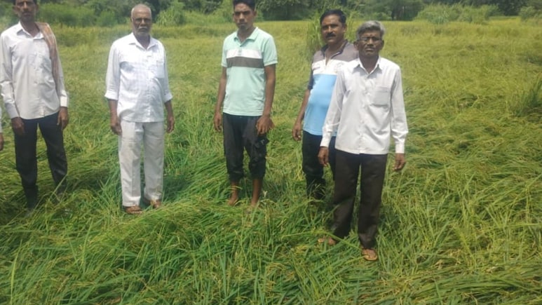Kalyan News: कल्याणच्या शेतकऱ्यांची दिवाळी गोड होणार! 3,667 जणांना मिळणार दिवाळीपूर्वी भरपाई Kalyan News: कल्याणच्या शेतकऱ्यांची दिवाळी गोड होणार! 3,667 जणांना मिळणार दिवाळीपूर्वी भरपाई