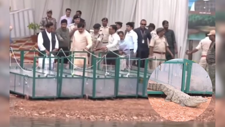 CM मोहन यादव ने नर्मदा में छोड़े मगरमच्छ, जानिए राज्य सरकार ने क्यों उठाया ये कदम CM मोहन यादव ने नर्मदा में छोड़े मगरमच्छ, जानिए राज्य सरकार ने क्यों उठाया ये कदम
