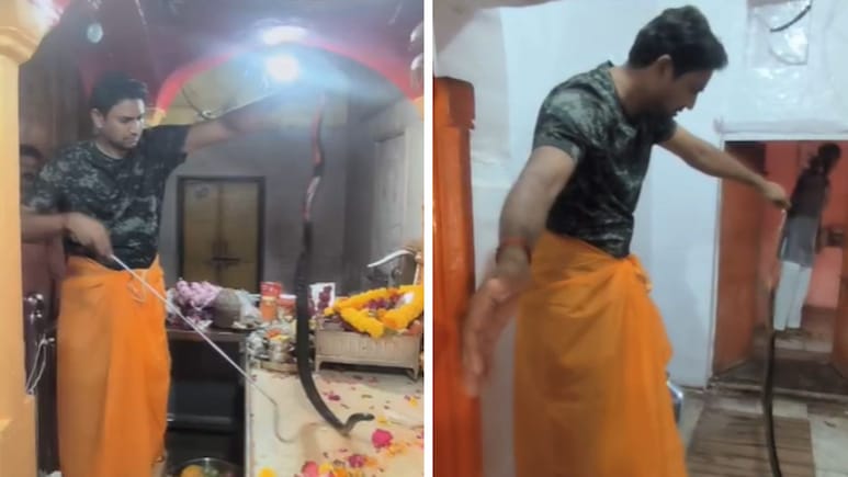 त्रिनेत्र गणेश मंदिर में घुसा सांप... मचा हड़कंप, आरती के दौरान मूर्ति के पास पहुंचा कोबरा