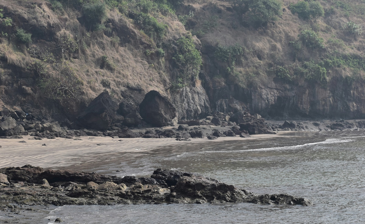 Latest and Breaking News on NDTV Latest and Breaking News on NDTV