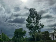 Monsoon 2026: MP-छत्तीसगढ़ के दहलीज पर ठहरा मानसून, मौसम विभाग ने बताया कब होगी एंट्री