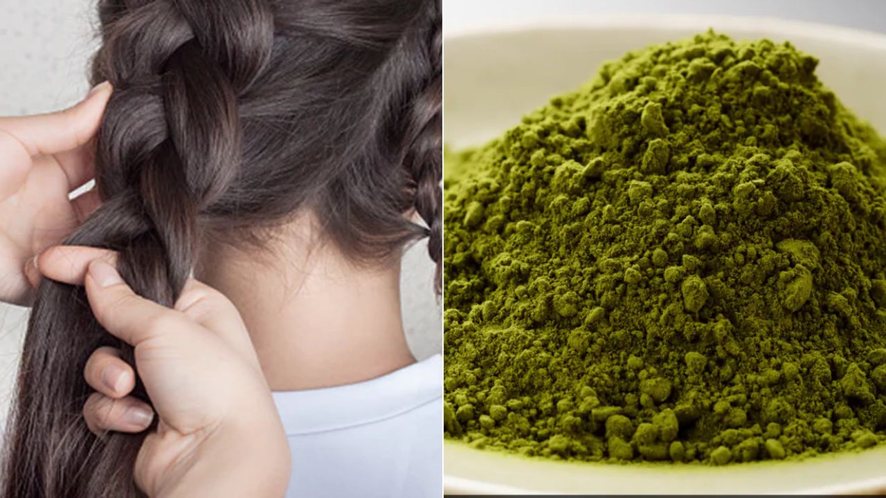 Ayurvedic powders for hair growth: बालों को तेजी से बढ़ा सकते हैं ये 5 आयुर्वेदिक पाउडर, जानें इस्तेमाल करने का तरीका