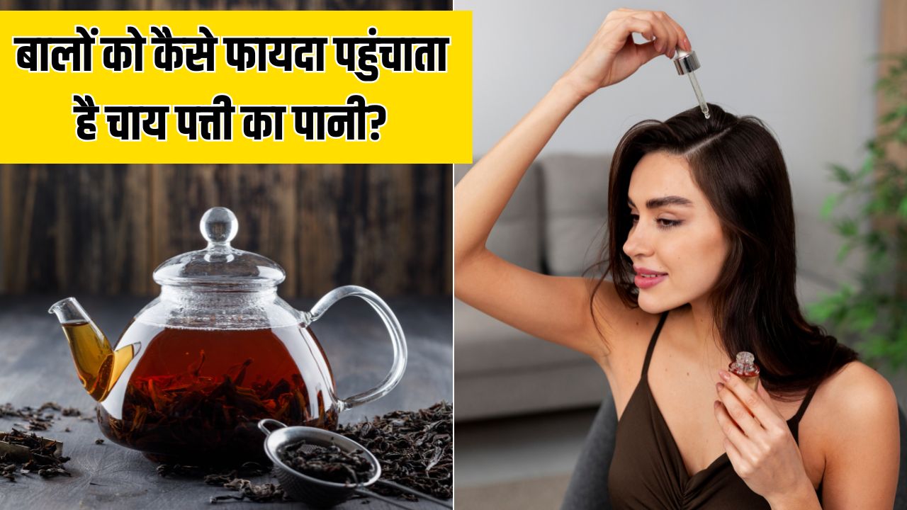 बालों में चाय पत्ती का पानी लगाने से क्या होता है? यहां जान लें जबरदस्त फायदे