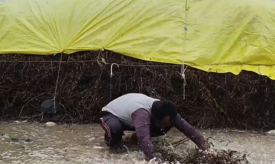 Latest and Breaking News on NDTV Latest and Breaking News on NDTV