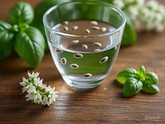 7 दिन लगातार खाली पेट सब्जा के बीज खाने से क्या होगा? पेट रहेगा अंदर और ब्लड शुगर रहेगा कंट्रोल