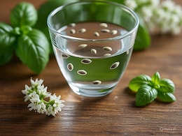 7 दिन लगातार खाली पेट सब्जा के बीज खाने से क्या होगा? पेट रहेगा अंदर और ब्लड शुगर रहेगा कंट्रोल