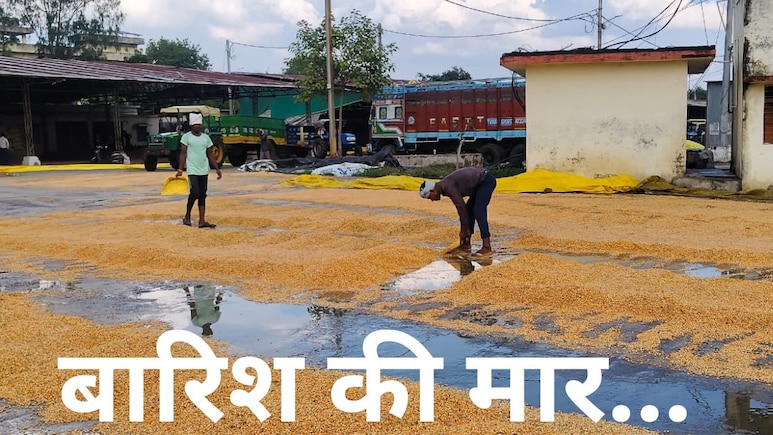 बारिश बहा रही उम्मीदें, 41 घंटे तक रुक-रुककर हुई बरसात ने बिगाड़ा खेल, किसान और व्यापारियों की बड़ी चिंता  बारिश बहा रही उम्मीदें, 41 घंटे तक रुक-रुककर हुई बरसात ने बिगाड़ा खेल, किसान और व्यापारियों की बड़ी चिंता