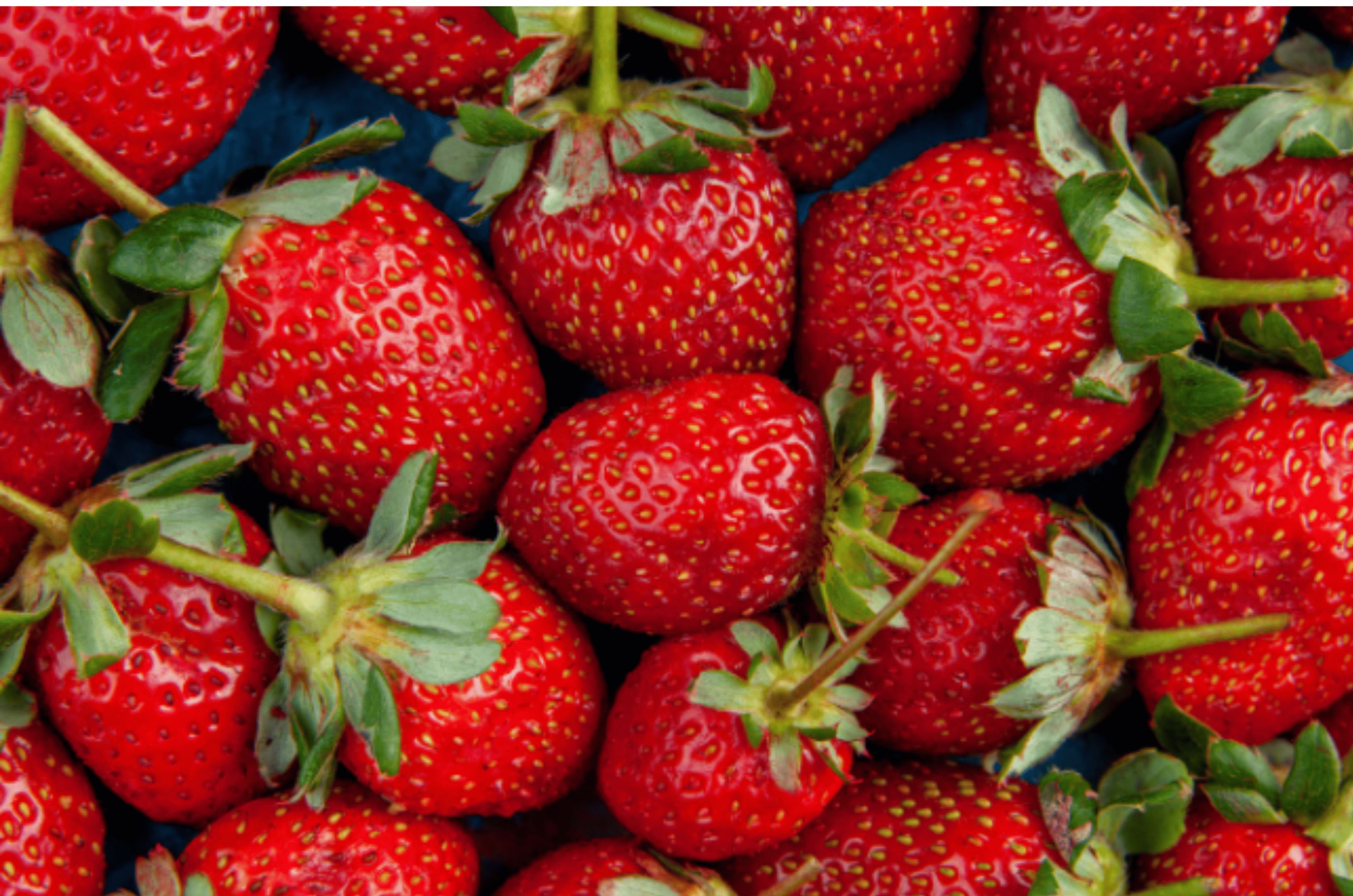 Eating Strawberries Daily Can Dramatically Cut The Risk Of Prediabetes In Adults, New Study Says