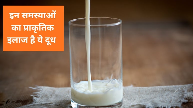5 से ज्यादा बीमारियों में फायदेमंद है दूध, डॉक्टर ने बताया किस समस्या में कौन सा दूध लें, जानिए 5 से ज्यादा बीमारियों में फायदेमंद है दूध, डॉक्टर ने बताया किस समस्या में कौन सा दूध लें, जानिए