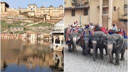 Rajasthan Tourism: 12 साल में तीसरी बार आमेर किले में दिखा ऐसा नजारा, उमड़ पड़ी पर्यटकों की भीड़, आप भी देखें तस्वीरें