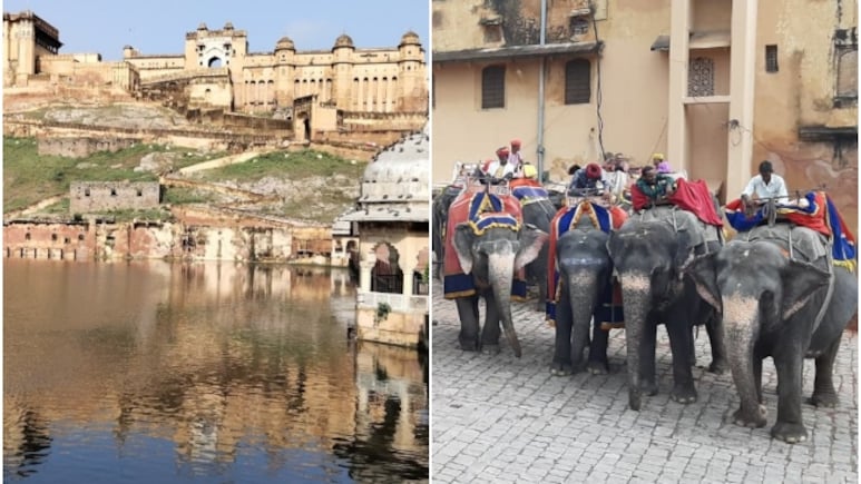 Rajasthan Tourism: 12 साल में तीसरी बार आमेर किले में दिखा ऐसा नजारा, उमड़ पड़ी पर्यटकों की भीड़, आप भी देखें तस्वीरें Rajasthan Tourism: 12 साल में तीसरी बार आमेर किले में दिखा ऐसा नजारा, उमड़ पड़ी पर्यटकों की भीड़, आप भी देखें तस्वीरें
