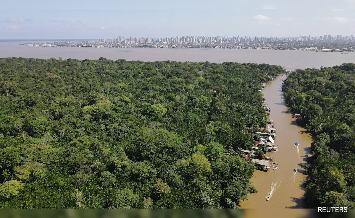 Amazon Scientists Simulate Future Climate With CO2 Experiment