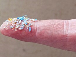 'माइक्रोप्लास्टिक' बदल रहे हैं दिमाग और सेहत का नक्शा, इन छोटे-छोटे उपायों से आएगा बदलाव 'माइक्रोप्लास्टिक' बदल रहे हैं दिमाग और सेहत का नक्शा, इन छोटे-छोटे उपायों से आएगा बदलाव