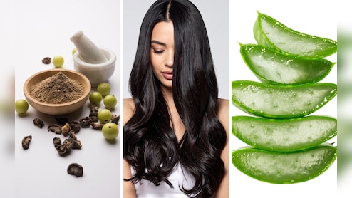 Hair Growth Tips: केसांची वाढ भराभर कशामुळे होईल,आवळा की अ‍ॅलोव्हेरा? घनदाट आणि लांबसडक केसांसाठी काय वापरावे