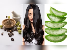 Hair Growth Tips: केसांची वाढ भराभर कशामुळे होईल,आवळा की अॅलोव्हेरा? घनदाट आणि लांबसडक केसांसाठी काय वापरावे Hair Growth Tips: केसांची वाढ भराभर कशामुळे होईल,आवळा की अॅलोव्हेरा? घनदाट आणि लांबसडक केसांसाठी काय वापरावे