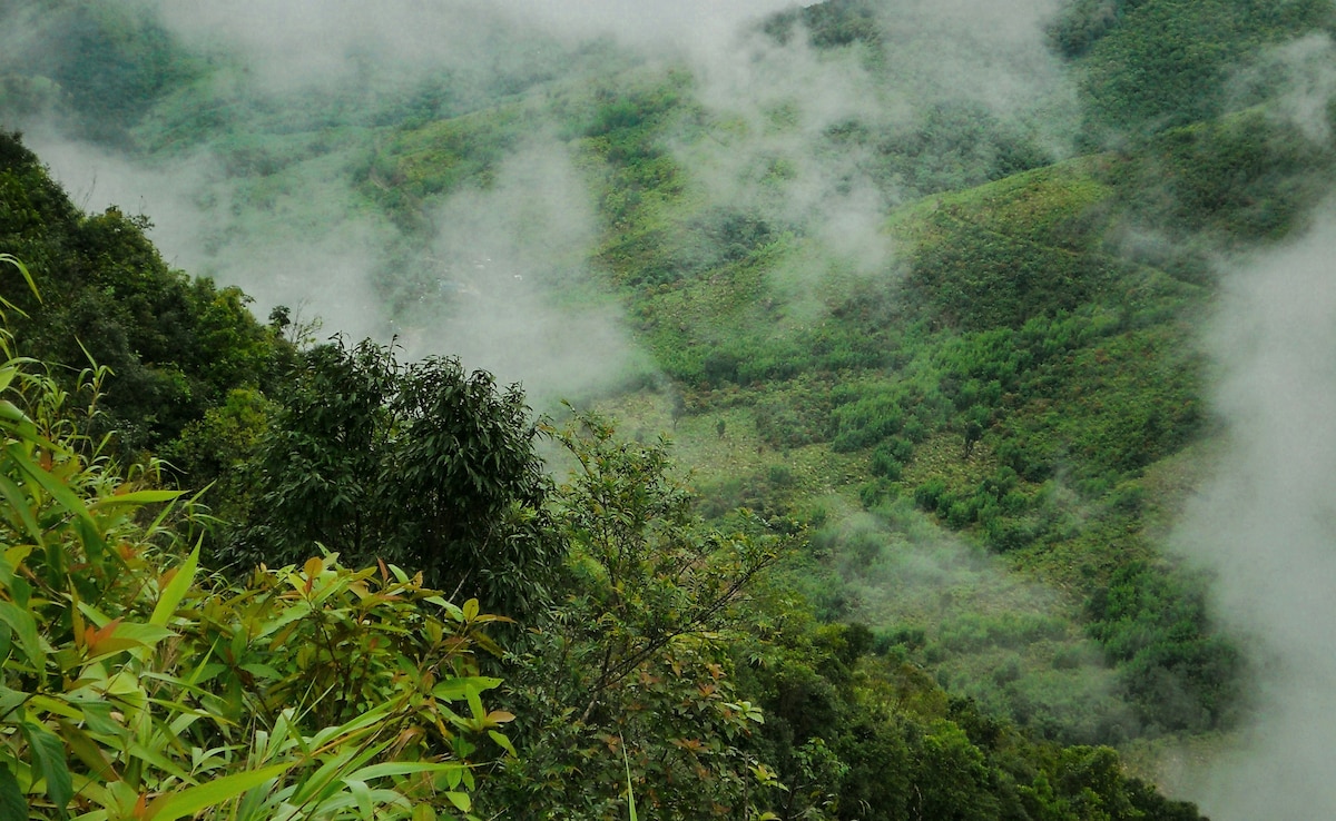 Latest and Breaking News on NDTV Latest and Breaking News on NDTV