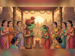 यहां बारिश के लिए कराई जाती है मेंढकों की शादी- जानें कहां निभाई जाती है ये अजीब परंपरा