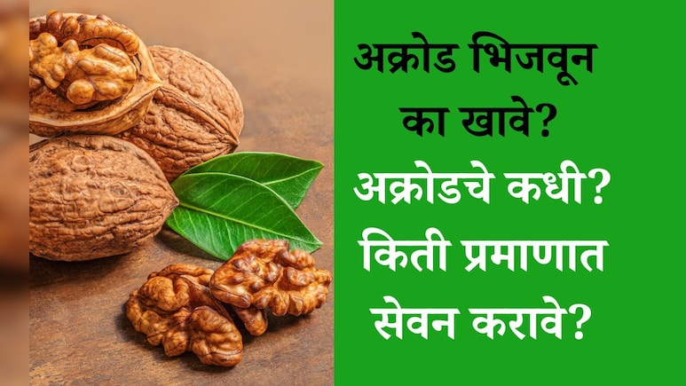 Walnut Benefits: दिवसभरात 20 अक्रोड खाल्ले तर काय होईल? अक्रोडशी संबंधित 11 प्रश्नांची महत्त्वपूर्ण उत्तरं Walnut Benefits: दिवसभरात 20 अक्रोड खाल्ले तर काय होईल? अक्रोडशी संबंधित 11 प्रश्नांची महत्त्वपूर्ण उत्तरं