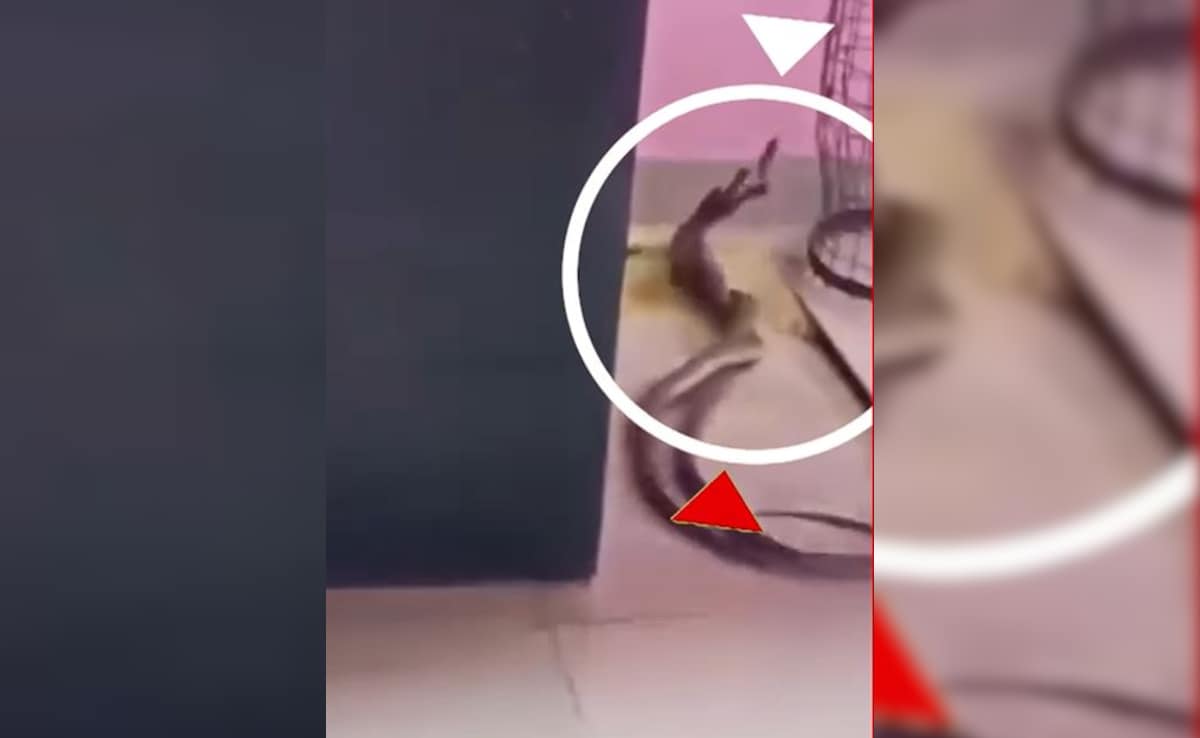 Latest and Breaking News on NDTV