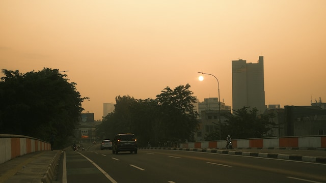Health Decoder: How To Read Air Quality Index Numbers And React For Better Lung Health