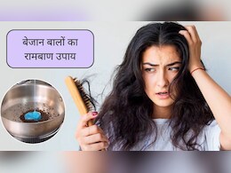 दो मुंहे बालों से परेशान हैं? इन 4 चीजों से घर ही बनाएं हर्बल हेयर क्लींजर, बेजान बालों में भी भर जाएगी जान दो मुंहे बालों से परेशान हैं? इन 4 चीजों से घर ही बनाएं हर्बल हेयर क्लींजर, बेजान बालों में भी भर जाएगी जान