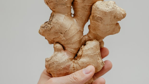 benefits of eating raw ginger kacha adrak khane ke fayde benefits of eating raw ginger kacha adrak khane ke fayde